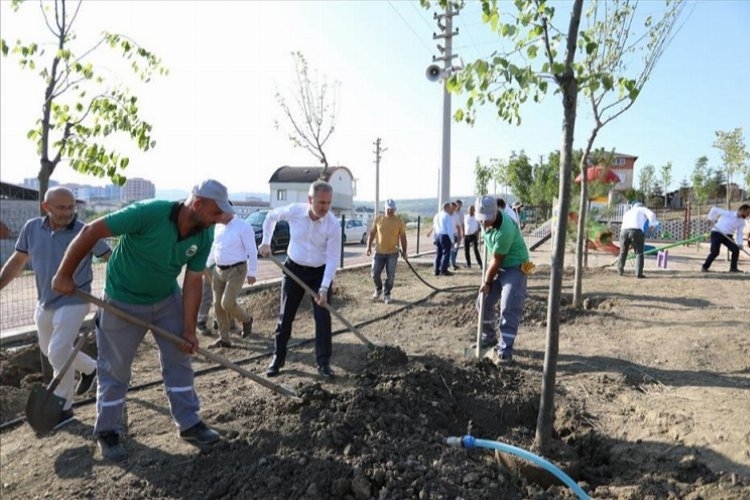 15 Temmuz Şehitlerine Bursa İnegöl'de 600. Fidan Dikildi