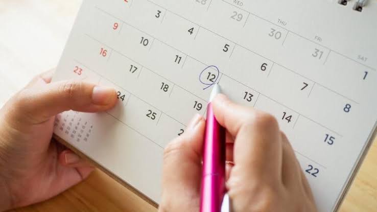 Resmi tatil günleri takvim listesi 2024 | Önümüzdeki yıl özel sektör ve kamu kurumları kaç gün tatil yapacak?