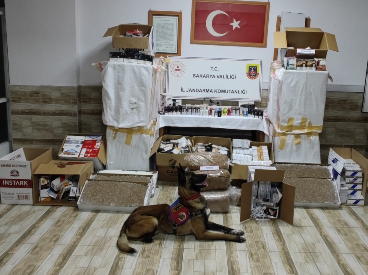 KAÇAKÇILIK İLE MÜCADELE