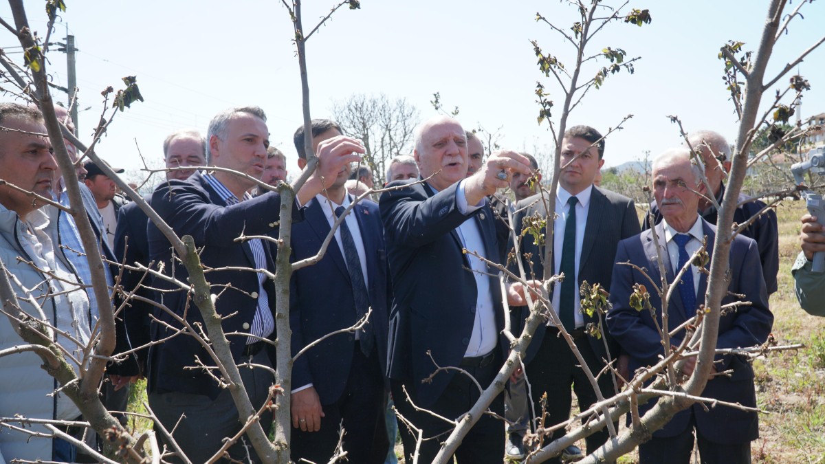 Tever’den Don Zararının Görüldüğü İlçelerde İnceleme