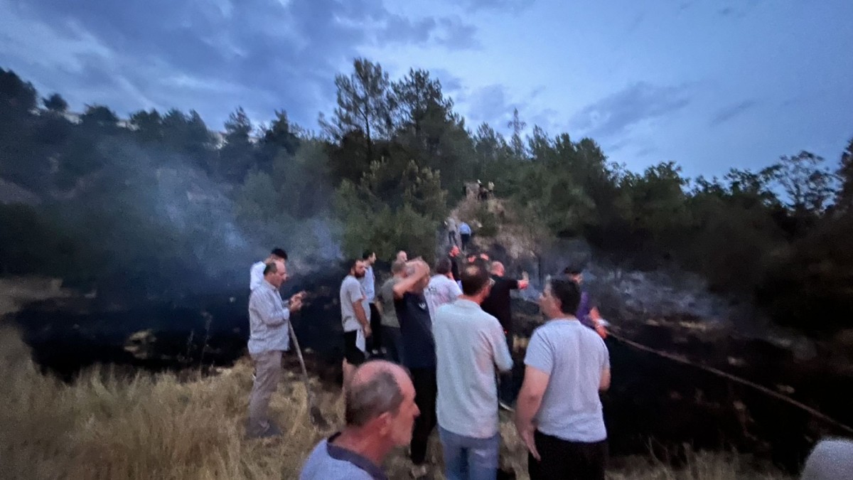 Taraklı'da Elektrik Direğindeki Patlama Yangına Neden Oldu: Alevler Ormana Sıçradı