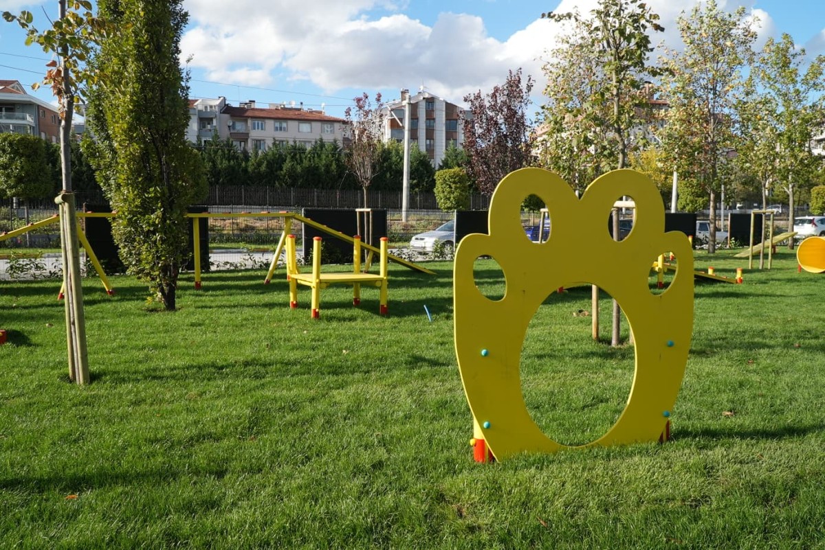 Ahmet Akın Can Dostları Pati Park İle Buluşturdu
