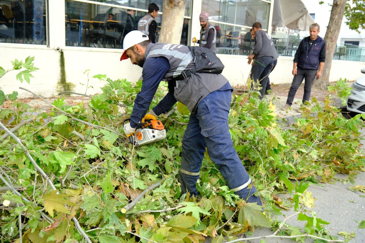 Safrancık Sokak'ta Kapsamlı Yeşil Alan Düzenlemesi