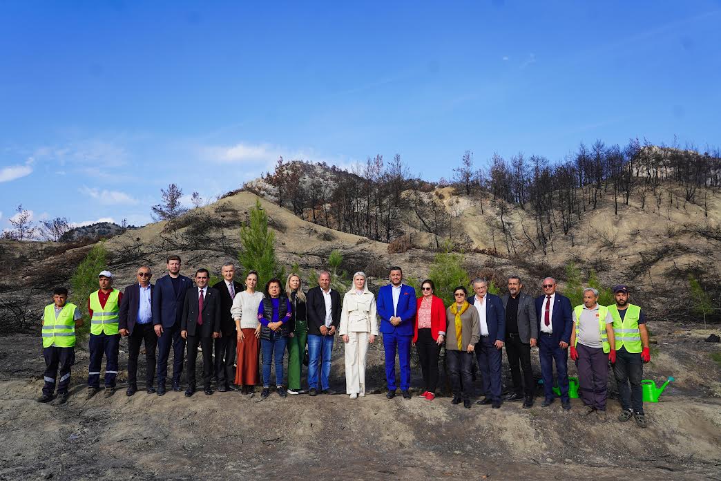 Yangın Bölgesinde İlk Fidanlar Toprakla Buluştu