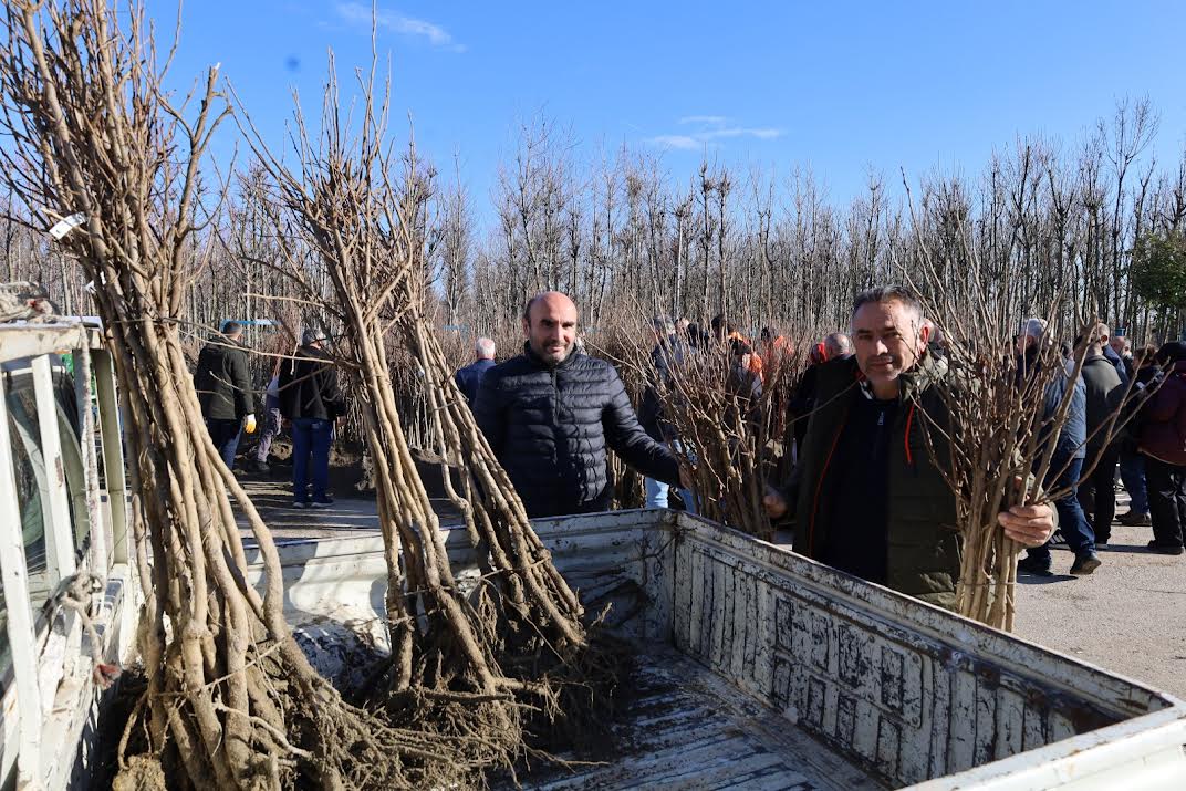 3 bin 600 Trabzon Hurması Fidanı Dağıtıldı