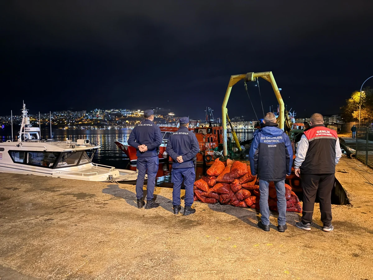 Bursa’da 350 kilo kaçak midye ele geçirildi