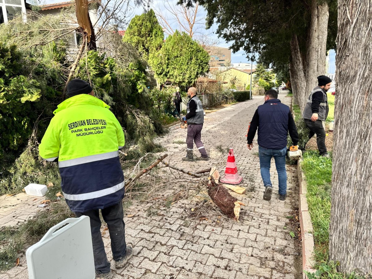 Sert Rüzgâra Karşı Sahada